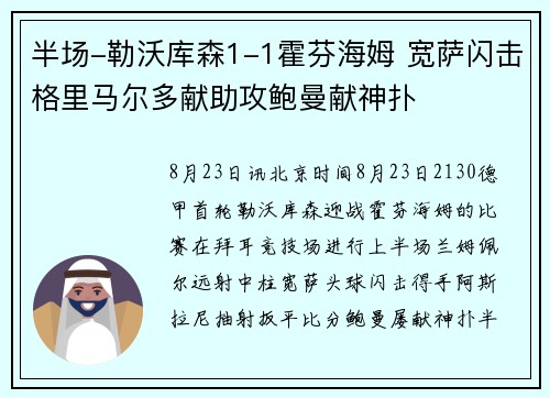 半场-勒沃库森1-1霍芬海姆 宽萨闪击格里马尔多献助攻鲍曼献神扑